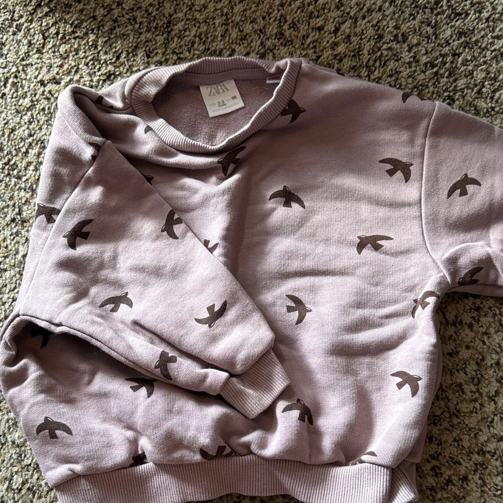 Zara Mauve Sweatshirt with Bird Pattern